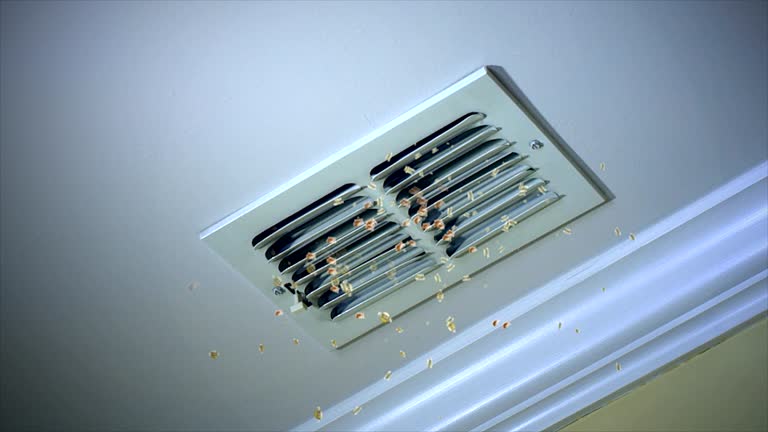 Best Home Air Vent Cleaning  in Paradise, CA