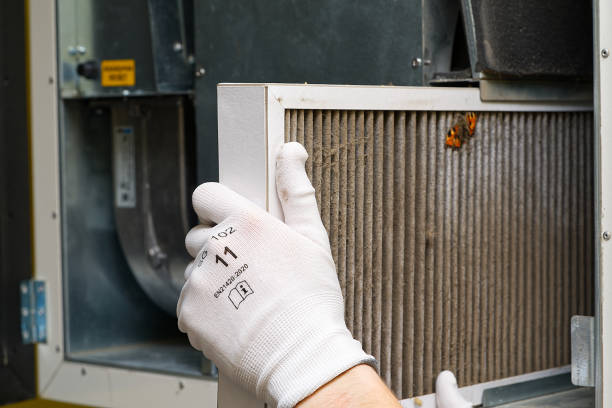 Best Affordable Air Duct Cleaning  in Paradise, CA